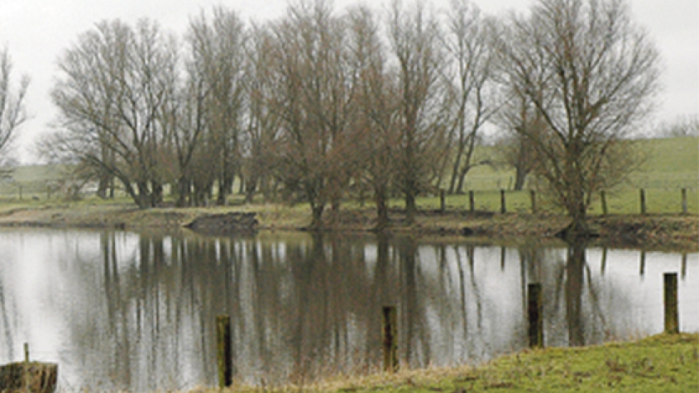 Südlich des ehemaligen Gerätedepots der Bundeswehr in Weener liegt dieser See in unmittelbarer Nähe der Ems. Wird der »Masterplan Ems 2050« umgesetzt, könnte dort auf einer Fläche von 30 Hektar ein Süßwasser-Tidebiotop entstehen. © Foto: Szyska