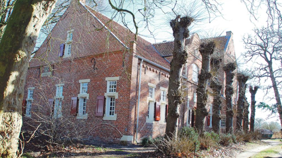 Die alte Platane vor dem Steinhaus (auf unserem Archivbild links zu sehen) musste aus Sicherheitsgründen gefällt werden. Auch die Kopflinden vor dem Barockanbau (rechts) sind in Gefahr. © Archivfoto: Hanken