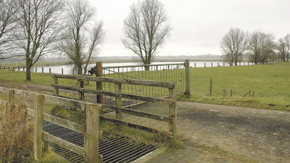 Fest vereinbart ist nach Angaben der Umweltverbände, dass dieser See südlich des ehemaligen Gerätedepots der Bundeswehr in Weener zum Süßwasser-Tidebiotop wird. © Foto: Szyska