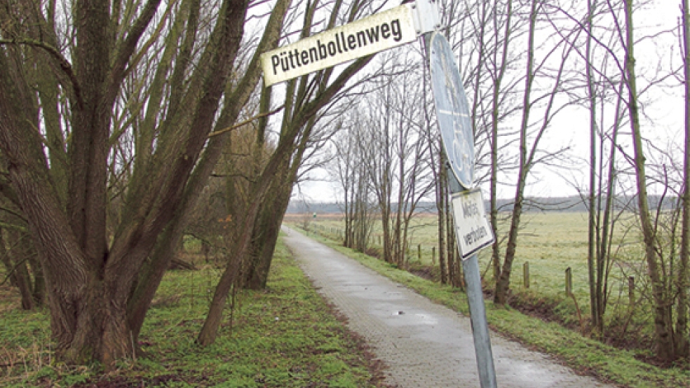 Der Zustand des Radweges zwischen Möhlenwarf und Weener ist dem Rheiderländer Fahrrad-Club ein Dorn im Auge.  © Fotos: Boelmann
