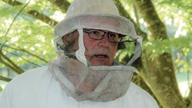 Bienensterben bereitet Imkern Sorgen