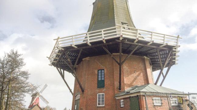 Greetsieler Zwilling erhält Kopf zurück