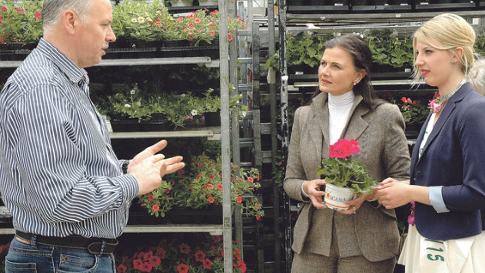 Über die Auswirkungen der Mindestlohn-Verordnung sprach der Gartenbauer Frank Silze gestern in seinem Betrieb in Halte mit der CDU-Bundestagsabgeordneten Gitta Connemann und der Deutschen Blumenfee Christina Aumann. © Foto: Szyska