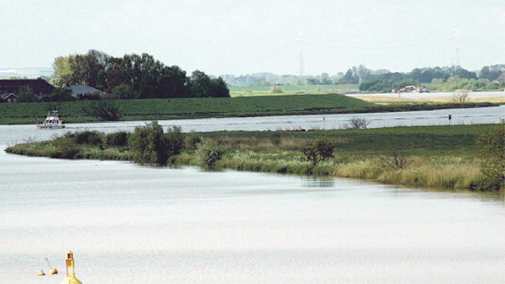 Die Ems bei Coldam: Lässt sich die Wasserqualität des Flusses durch die Masterplan-Maßnahmen verbessern? © Foto: Szyska