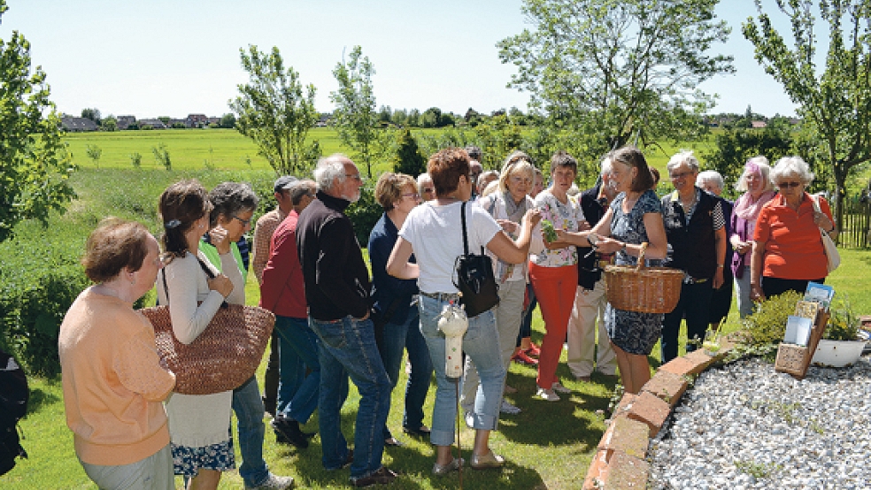 Agnes Ratering (mit Korb) erläuterte den zahlreichen Gästen, welche Wildkräuter auch sie in ihrem Garten finden können.  © Foto: Hülsebus