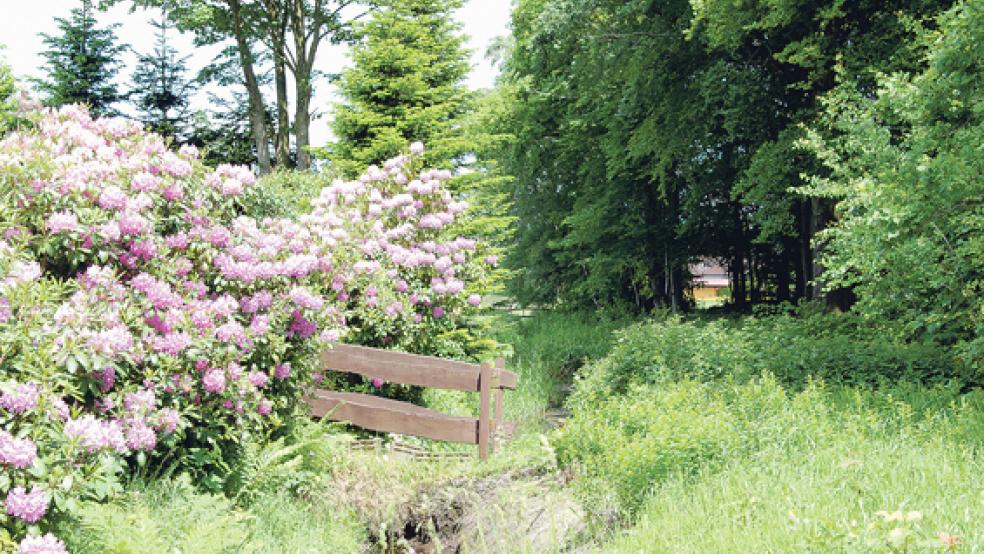 Grüne Idylle: Hier hinter dem Stapelmoorer Park entlang würde die geplante Entlastungsstraße entlang führen. © Foto: Hoegen