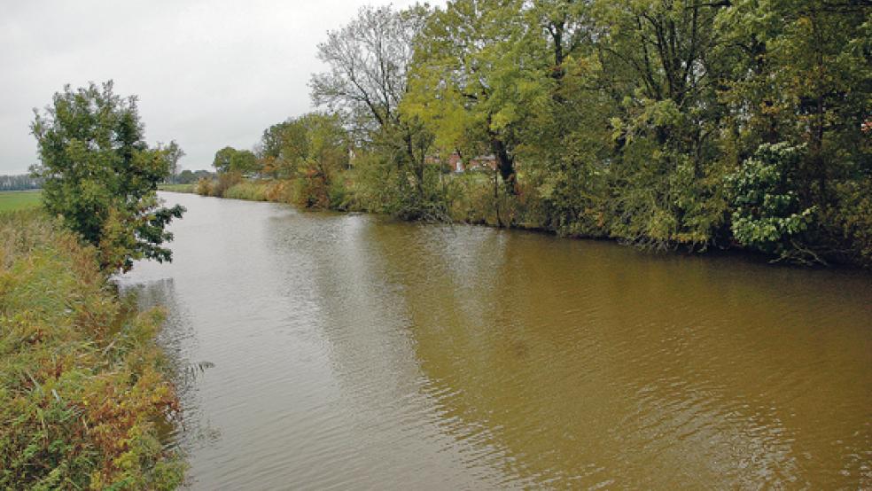 Das Ditzum-Bunder Sieltief ist stellenweise derart verlandet, dass es Probleme mit der Entwässerung angrenzender Weideflächen gibt. Auf einem 1,5 Kilometer langen Streckenabschnitt plant die Sielacht nun Ausbaggerungen. © Foto: Szyska