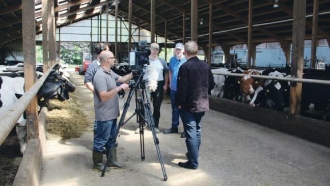 Kuh vom  Geisehof wird Fernseh-Star