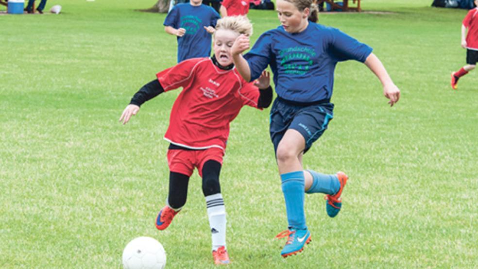 Nur die Weeneraner schafften es bis in das Halbfinale. © Fotos: de Winter