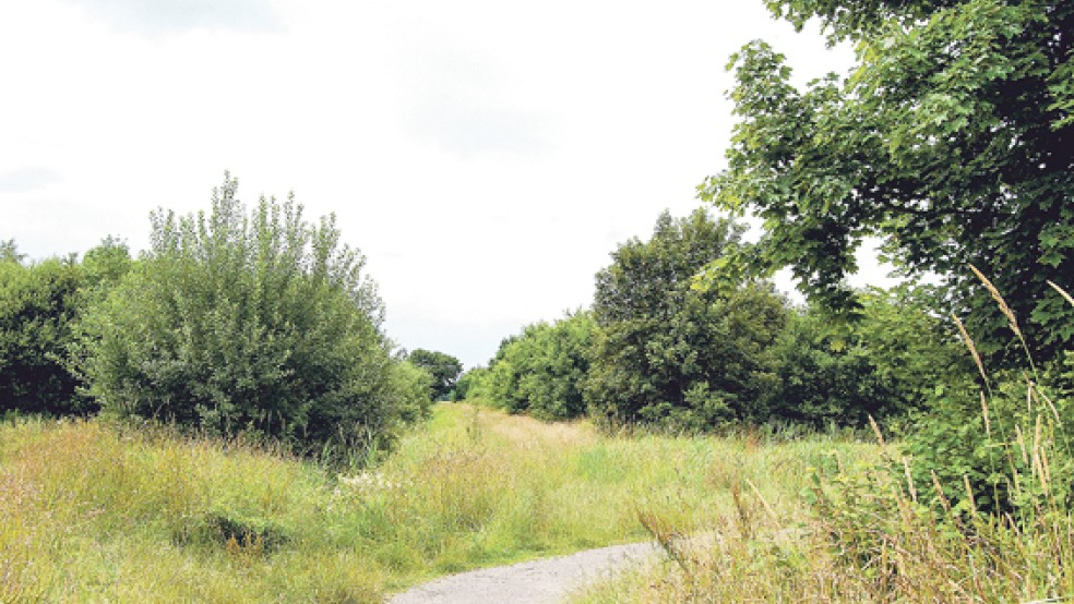 Auf dem ehemaligen Baumschulgelände an der Straße »Zur Helle« soll ein Neubaugebiet mit 31 Grundstücken entstehen. Die Planungen dafür laufen schon seit einem Jahr. © Foto: Hoegen