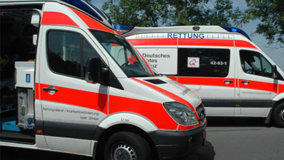 Neben Rettungssanitätern waren drei Feuerwehren mit 40 Kräften und sechs Fahrzeugen im Einsatz. © Foto: Archiv