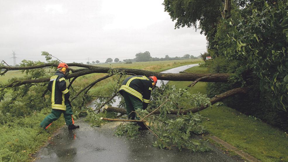 Einen umgestürzten Baum musste die Feuerwehr im Meentelandsweg in Stapelmoor entfernen. © Foto: Rand (Feuerwehr) 