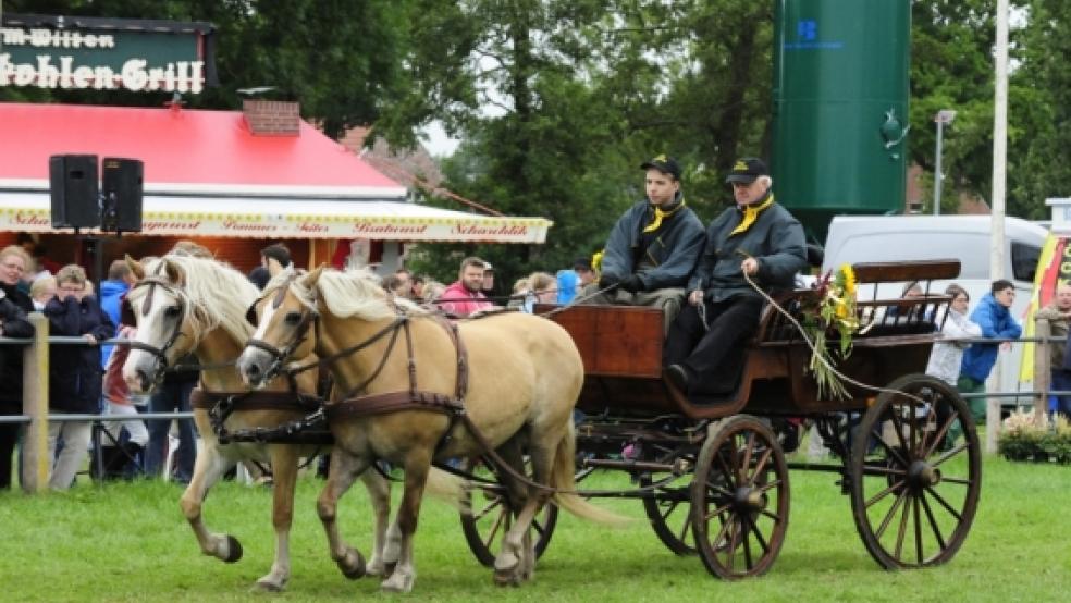 Fahrsportler werden auch dieses Jahr im Showprogramm des 67. Reitturniers des Fahr- und Reitvereins Timmel nicht fehlen. © Foto: Gleich