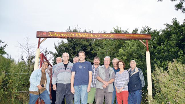 Bienen können zur Rapsblüte ausschwärmen