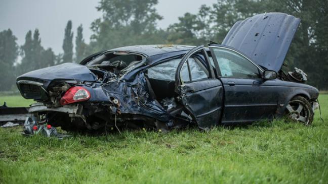 Jaguar landet auf Weide
