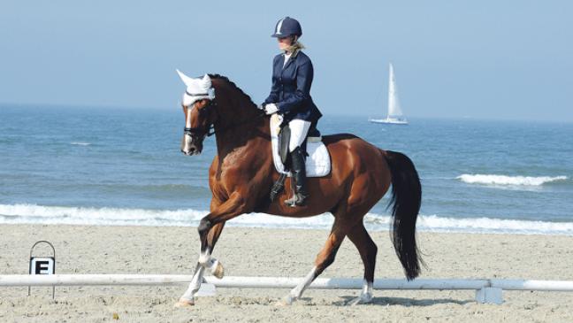 Über 1400 Starts auf Norderney