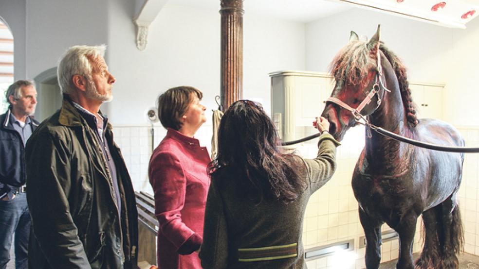 Die Politiker-Delegation nahm das Gestüt »Der Polderhof« von Helmuth Brümmer (links) in Augenschein. Die Friesenhengst-Pferdezucht ist weit über die Grenzen des Rheiderlandes hinweg bekannt. © Foto: Flockenhagen