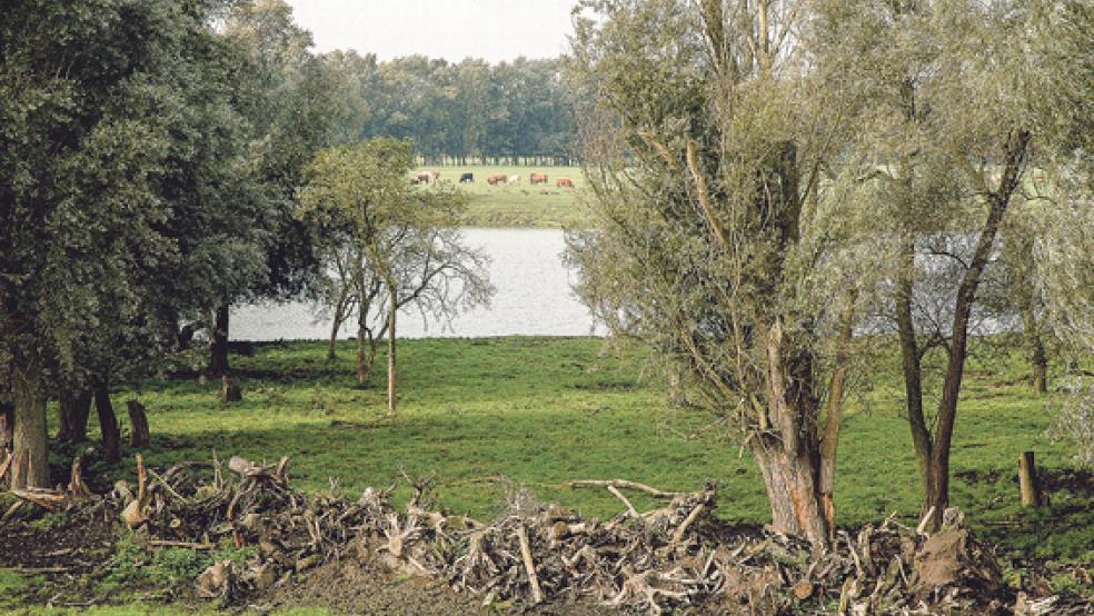 Auf dem Gelände am Süderweg in Weener - hier der Blick vom Emsdeich - sind die Bohrungen zur Bodenuntersuchung abgeschlossen worden. Damit wird geprüft, ob sich der Untergrund für den geplanten Tidepolder eignet. © Foto: Szyska