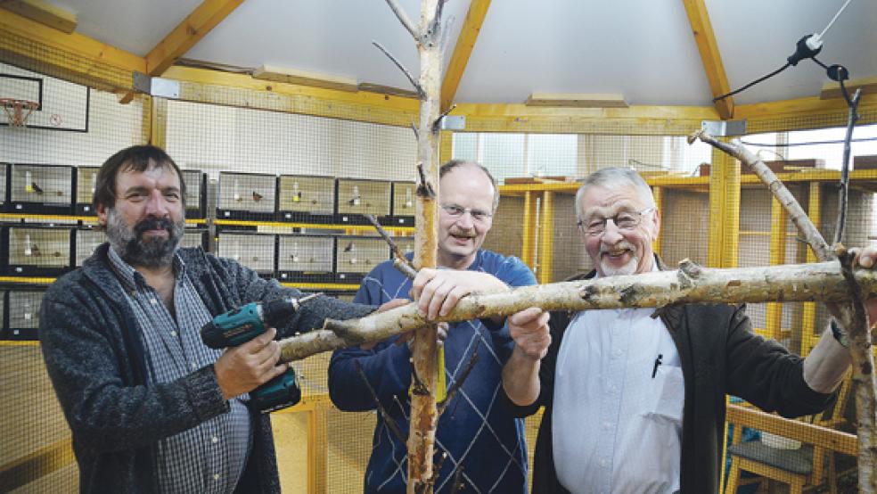 Damit es die zukünftigen Bewohner auch gemütlich haben, legten Georg Hilfers (von links), Enno Klinkenborg und Fritz van der Wal am Donnerstag noch letzte Hand an. Die Volieren wurden übrigens von den Vereinsmitgliedern selbst gebaut - allen voran von dem verstorbenen Lüppo Brauer. © Foto: Himstedt