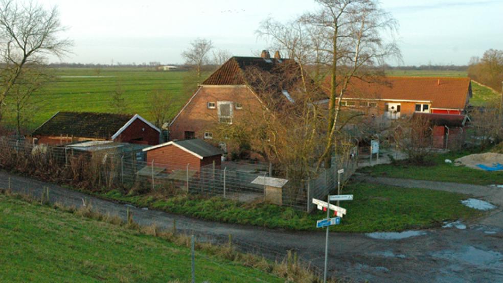 Der Tierschutz Rheiderland schlägt Alarm. . © Foto: RZ-Archiv