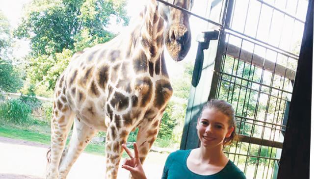 Dicht bei Giraffen und Löwen
