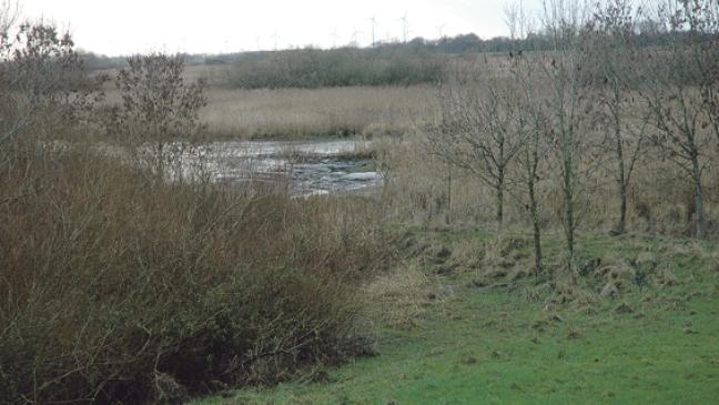 Tidepolder-Gebiete im Blickpunkt