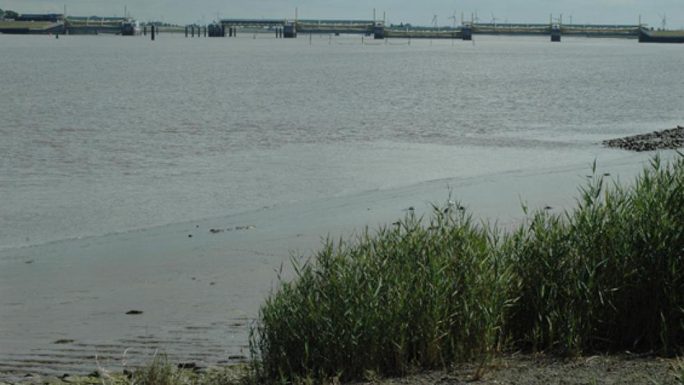 Das Ems-Sperrwerk von Ditzum aus gesehen. Wassersportvereine an der Ems und ihren Nebenflüssen haben mit der Verschlickung und der starken Strömung zu kämpfen. © Foto: Szyska