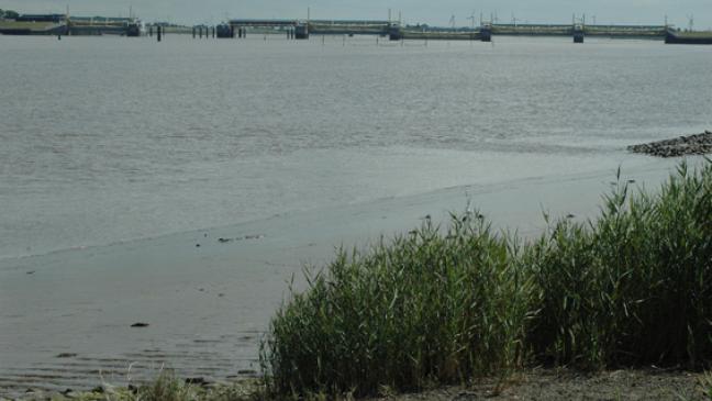 Ems als Wassersportrevier »akut bedroht«