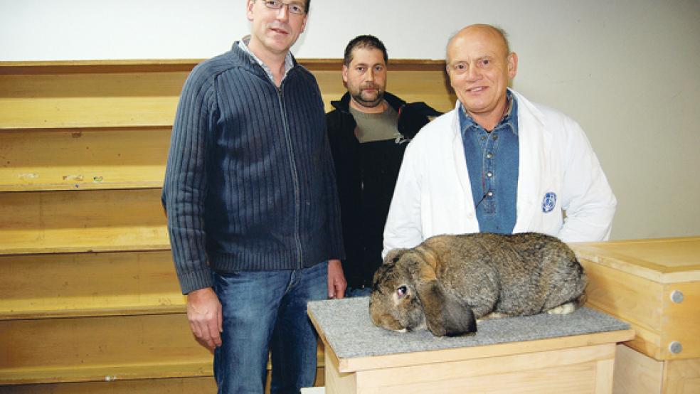 Einen Deutschen Widder, wildfarben, bewertet hier Preisrichter Uwe Mader. Neben ihm Züchter Thomas Dirksen und Vereinschef Michael Goemann (links),  © Foto: Hoegen