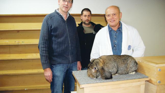 Züchter stellen insgesamt 401 Tiere aus