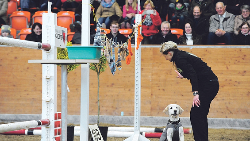Der »Horse-Dog-and-Fun-Wettbewerb« ist zwischen den S-Springen eine willkommene Abwechslung für die Zuschauer. © Foto: Gleich