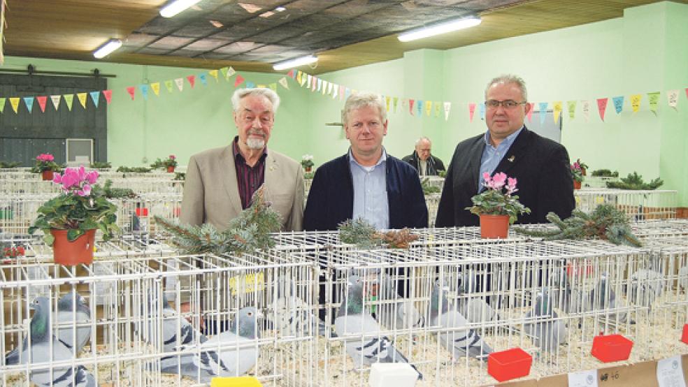 Bei der Eröffnung der Taubenausstellung: Von links Regionalverbandsvorsitzender Detert Feddinga, Bürgermeister Ludwig Sonnenberg und Winfried Helmerichs, Vorsitzender der Reisevereinigung Leer. © Foto: Hoegen