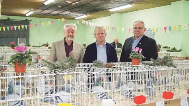 Tauben »ziehen« 600 Besucher