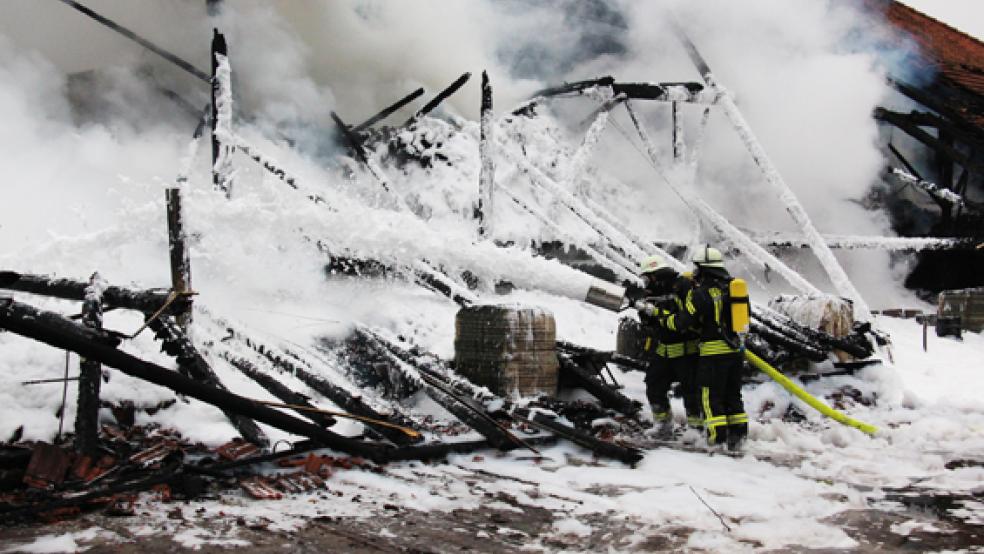 Über 120 Feuerwehrleute kämpften gegen die Flammen in der brennenden Ziegelei. © Foto: privat