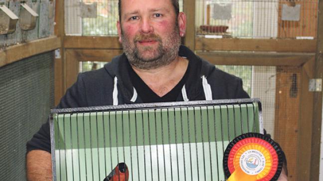 Rheiderländer Vogelzüchter räumen ab