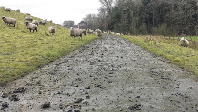 »Eine Ausladung an Radwanderer«