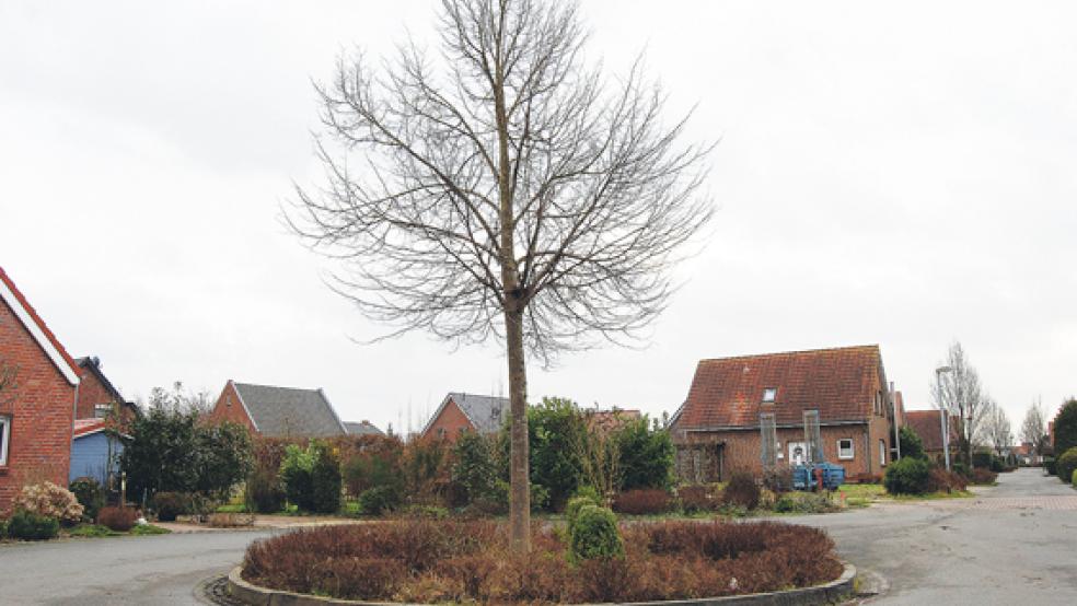 Das Rondell an der Nesser Straße in Jemgum soll erhalten bleiben. Dafür hat sich der Bau- und Wegeausschuss gestern einstimmig ausgesprochen. © Foto: Hoegen