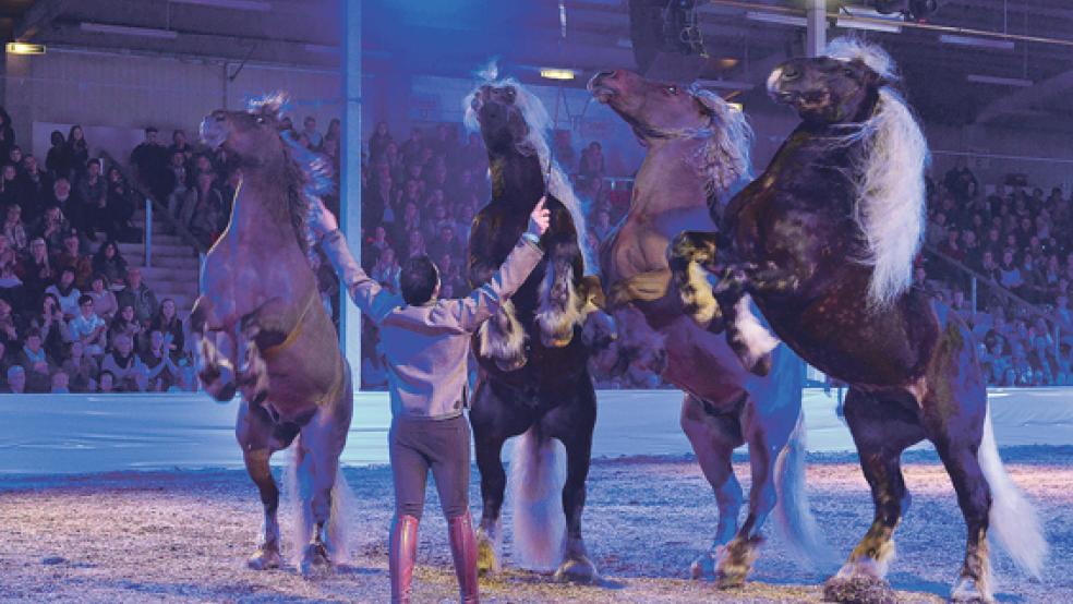 Großes Spektakel in der Ostfrieslandhalle: Beim Galaabend der Pferde sahen 4000 Zuschauer tolle Schaubilder wie dieses. © Fotos: Gleich