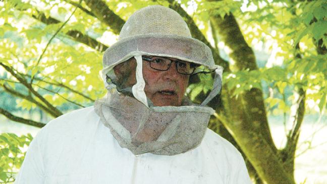 Wenn Bienen der Hungertod droht