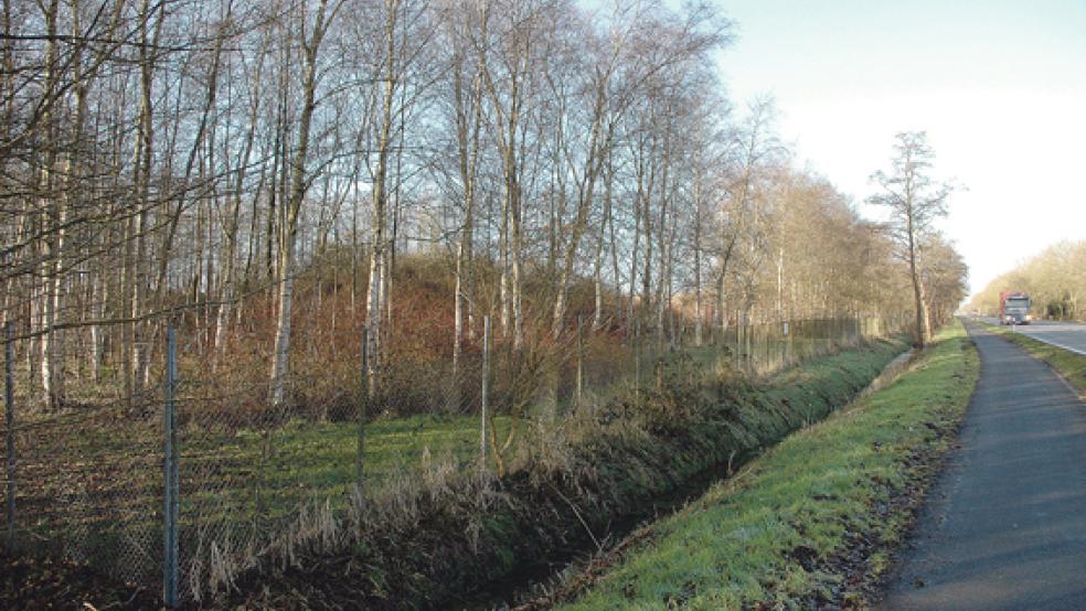 Dieses Grundstück an der B 436 in Weener wird von der Bundeswehr für den ABW-Neubau favorisiert. © Foto: Szyska