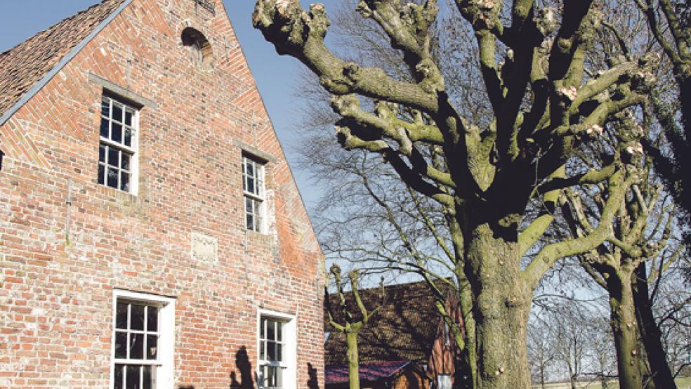 Bald wieder bewohnt: Der Monumentendienst soll im Sommer in das Wohngebäude des Steinhaus-Komplexes in Jemgumgaste einziehen. Zuvor müssen dort noch Umbauarbeiten erfolgen. © Foto: Hanken