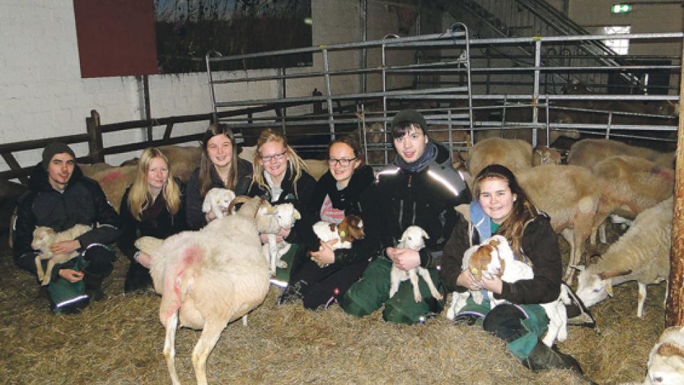 Kümmern sich: Patrick Scheumer, Laura Holzenkämpfer, Malin Nanninga, Anna Chwirot, Svenja Köhler, Eike Asche und Dana Janssen (von links). © Foto: NABU