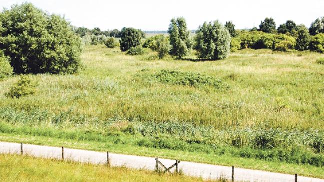 Altlasten wohl kein Polder-Hindernis