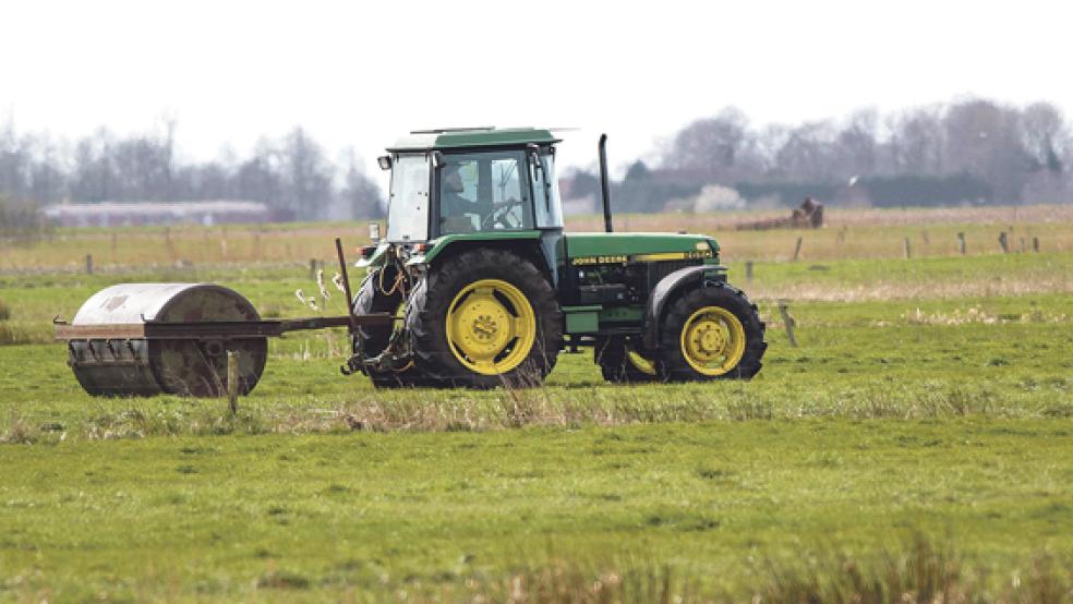 Der Naturschutzbund bittet Landwirte in Ostfriesland um Rücksicht bei den anstehenden Frühjahrsarbeiten. Es geht um den Schutz von Wiesenbrütern. © Foto: Naturschutzbund