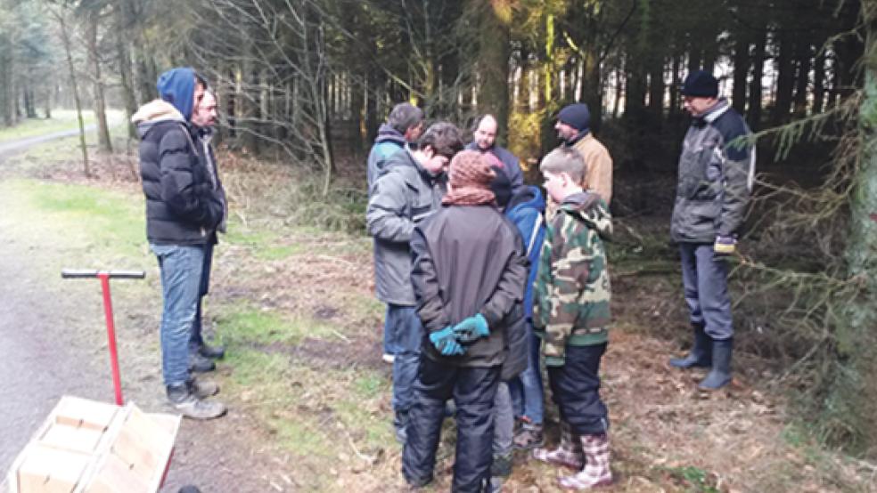 Bei ihrem Arbeitseinsatz kümmerte sich die Jugendgruppe des Vogelzucht- und Naturschutzverein Weener um rund 50 Nistkästen im Stadtwald in Holthusen. © Fotos: privat