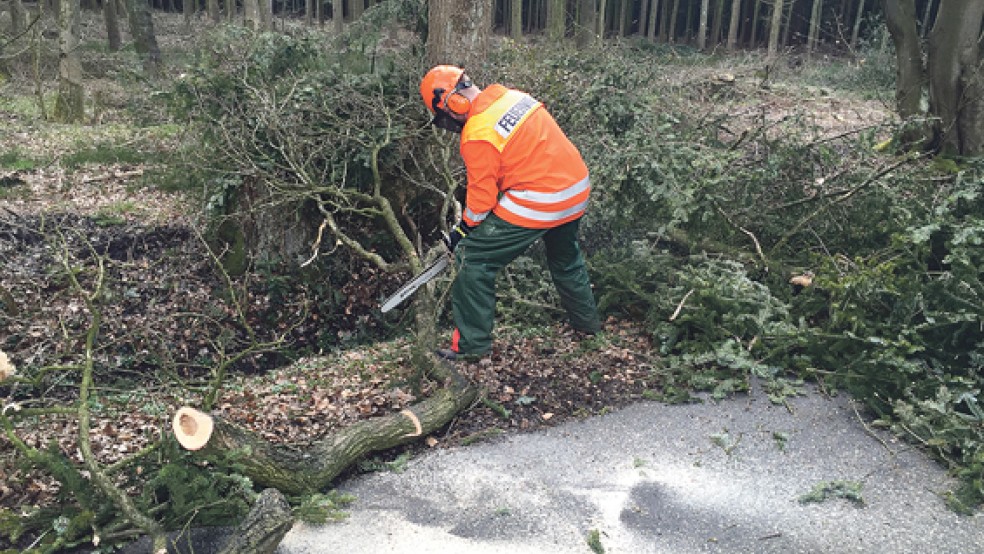 Ein Feuerwehrmann bei der Beseitigung von Sturmschäden am Einbrooksweg in Leer-Logabirum. © Foto: Kreisfeuerwehr