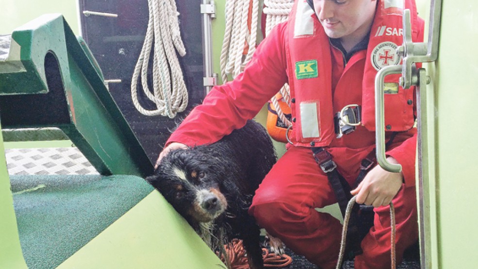 Der freiwillige Seenotretter Alexander Klingenborg kümmert sich an Bord des Seenotrettungsbootes Cassen Knigge um den geretteten Berner Sennenhund »Rocky«. © Foto: DGzRS – Die Seenotretter