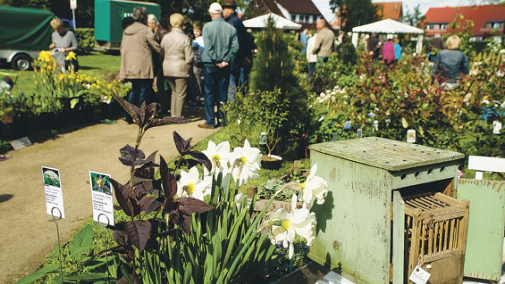 Ein Frühlingsfest rund um die Evenburg wird am 16. und 17. April veranstaltet.  © Foto: Landkreis