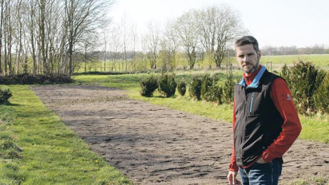 Bunte Meter in Ostfriesland gepflanzt