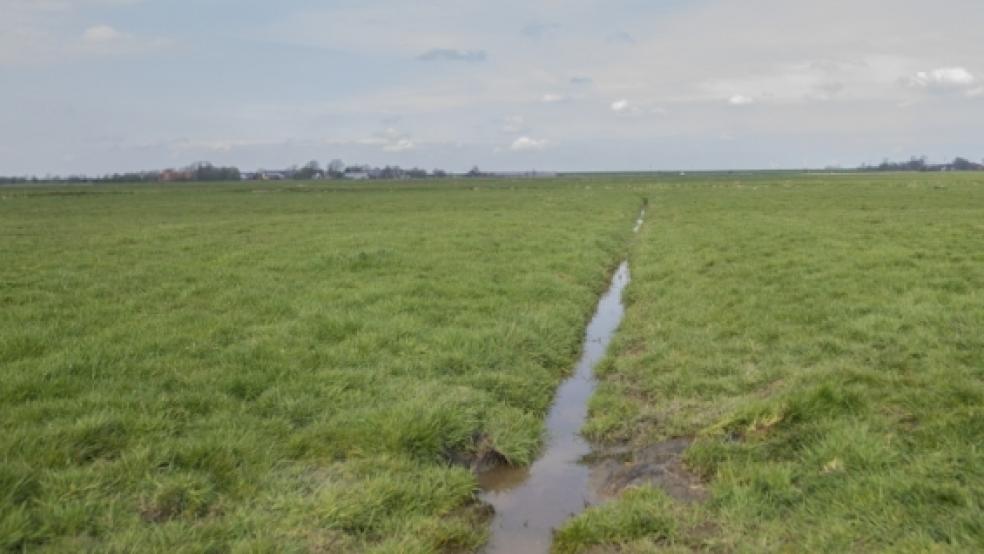 Die Leiche des seit über vier Monaten vermissten Lars Wunder ist am Dienstagmittag auf einer Weide beim Midlum entdeckt worden. © Foto: Klemmer